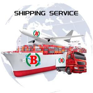 DDU International <strong>Logistics</strong> <strong>Company</strong> Door-<strong>to</strong>-Door Shipping Agent for Saudi Arabia India LCL+Express Freight Agent Dropshipping - Product Image 1