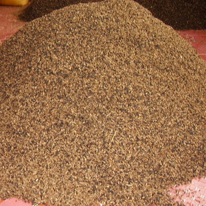 Huevos de Hormiga Negra Secos Comestibles, Insectos Naturales Puros para Alimento de Mascotas - Product Image 6