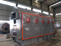 Ketel Uap Biomassa Industri untuk Pabrik Makanan, Tekstil, Kertas, Berbahan Bakar Pelet Kayu dan Batubara, Otomatis, Hemat Energi