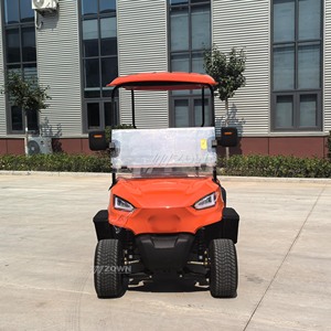 Carrito de Golf Eléctrico de 2 Plazas, con Batería de Litio, de Baja Velocidad, para Clubes y Zonas Turísticas - Product Image 1