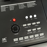 OEM Small Electronic Organ Acceptable Musical Instrument Keyboard Toy Customizable Electronic Keyboard Instruments