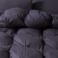 Couette en duvet de plume d'oie Insert de couette Collection d'hôtel 750 Fill Power Ultra-Soft All Season Baffle Box Quilted Duvet Insert