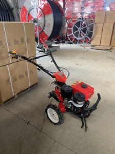 <span class=keywords><strong>Mini</strong></span> motoculteur, petit cultivateur agricole, motoculteur rotatif à essence, machine de préparation du sol pour jardin, à pousser à la main - Product Image 6