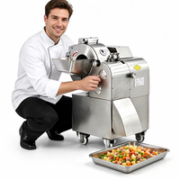 FONHON 750W 201 RVS Snijmachine 1 Jaar Garantie Multifunctioneel voor Diepvriesvlees & Wortel-/Stengelgroenten