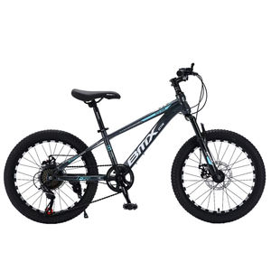 Cadre en acier à haute teneur en carbone, frein à disque, excellente durabilité, vente en gros, vélos de montagne de haute qualité disponibles en 20 pouces - Product Image 3