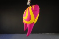 Publicité promotionnelle : Modèles gonflables de poissons tropicaux, avec une ambiance océanique et des accessoires décoratifs spécifiques au thème.