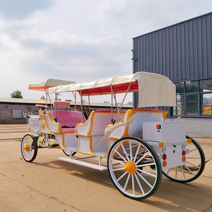 Calèche électrique personnalisable en couleur pour mariages, excursions, parcs et événements - Product Image 2