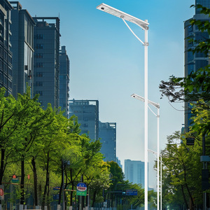 Lampadaires solaires personnalisés, 6m, 7m, 8m, pour nouvelles constructions rurales, lampadaires solaires à bras conque pour éclairage routier - Product Image 1