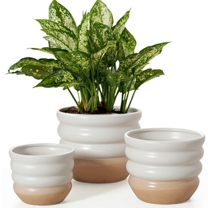 Macetas <span class=keywords><strong>comprar</strong></span> creativo personalizado al por mayor contenedor esmaltado cerámica Cactus <span class=keywords><strong>plantas</strong></span> <span class=keywords><strong>suculentas</strong></span> macetas y jardineras para la venta decoración del hogar - Product Image 2