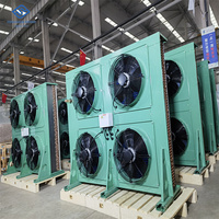 Condenseur de réfrigération horizontal à refroidissement par air à décharge latérale pour chambre froide d'abattoir de volailles