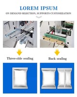 Machine de remplissage et d'emballage automatique à double tête pour sachets de noix et de lait en poudre avec moteur pour sacs alimentaires et chimiques VFFS