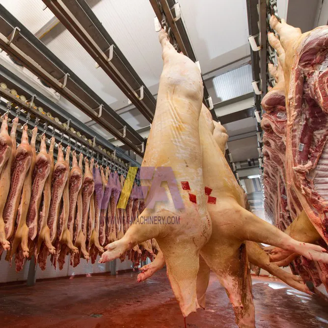 디자인 50-100 돼지 도살장 완전한 도살 장비 Abattoir 정육점 기계 라인 고기 가공 기계