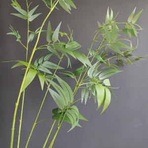 Faux tige <span class=keywords><strong>de</strong></span> bambou artificielle, branche <span class=keywords><strong>de</strong></span> feuille <span class=keywords><strong>de</strong></span> bambou artificielle, tiges <span class=keywords><strong>de</strong></span> <span class=keywords><strong>verdure</strong></span> artificielle pour remplissage <span class=keywords><strong>de</strong></span> vase, décoration <span class=keywords><strong>de</strong></span> maison, bureau et style zen - Product Image 1
