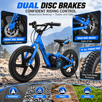 Vélo d'équilibre électrique pour enfants en acier au carbone, moteur 250W, batterie lithium 24V 5.2 Ah, vélo à pousser robuste, vélo d'entraînement pour enfants