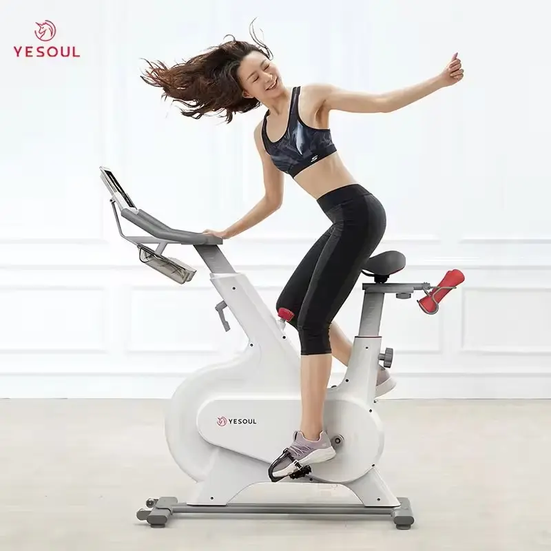 Magnetic American Gym Life Fitness Spinning Bike Bicicletas De Spinning Life Fitness De Gimnasio