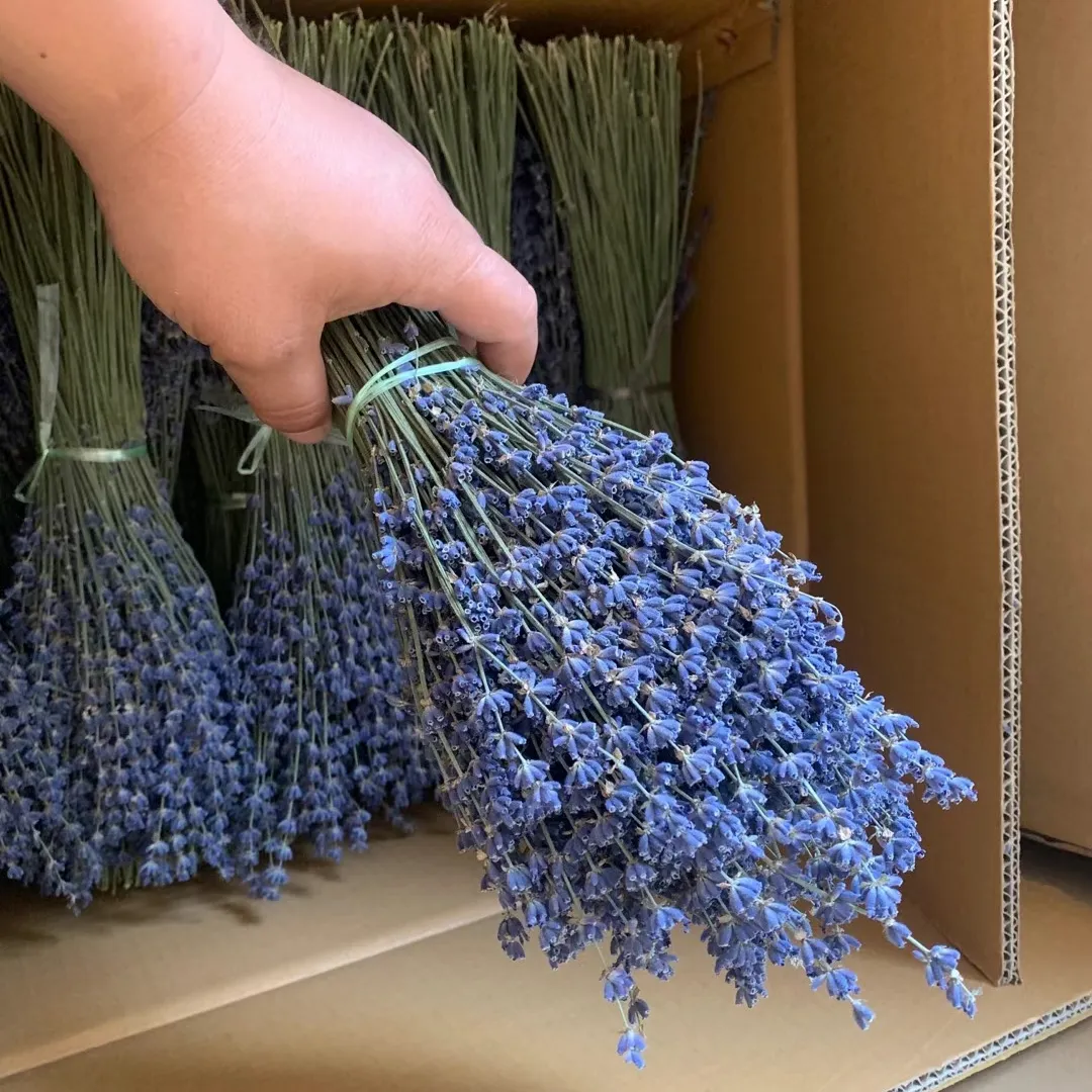 Customized Dried Stem Flower Bouquet Superior Quality Dried Lavender Bunches