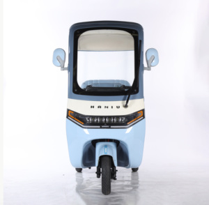 Bicicleta eléctrica UTV, motocicletas, vehículo Triciclo, tres ruedas de bicicleta <span class=keywords><strong>Trimoto</strong></span>, scooters de movilidad, cuerpo cerrado para coche, 60V, compatible <span class=keywords><strong>con</strong></span> CEE - Product Image 2