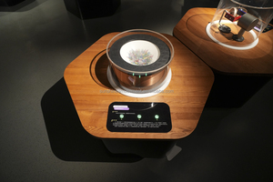 Exhibición de Física Clásica Integrada Personalizada para Museos de Ciencias y Proyectos de Diseño para Centros Profesionales de Ciencia, Tecnología, Ingeniería y Matemáticas - Product Image 2