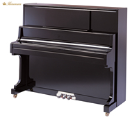 Standard di Pianoforte 88 Tasti di Pianoforte Tastiera di Pianoforte Per I Bambini di Età