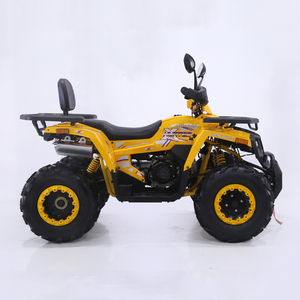 Quad Tao Motor 2026, dernier design, 200cc, <span class=keywords><strong>4x4</strong></span>, quatre roues motrices - Product Image 3