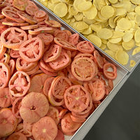 Commerciële TUOCHEN 15-20kg Vriesdroger Voedselverwerking Fruit Grote Capaciteit SUS304 3000W Vacuümkamer Industriële Hoge Drukpomp