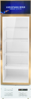 Réfrigérateur commercial vertical à porte vitrée pour boissons, refroidisseur de boissons pour bar, restaurant, hôtel, supermarché