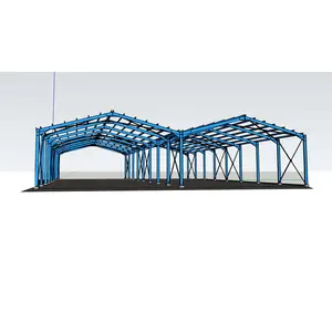 High Quality Economic Design Easy Build Prefab Building Steel Structure Hangar Plants Workshops