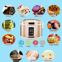 Machine à ail noir Portable, pour vente, boîte de Fermentation, pot et four vieilli, vente en gros