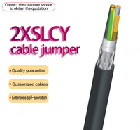 Kabel Data Terlindung Fleksibel 2XSLCY 0.6/1kv untuk Gerakan Kontinu dalam Rantai Tarik dan Robotika IEC