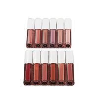 Brillant à Lèvres de Luxe Personnalisé Marque Privée Brillant à Lèvres Nude Vendeurs Mini Brillant à Lèvres Vendeur Brillant à Lèvres Végétalien Échantillon de Test