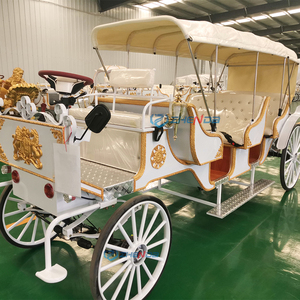 Carrozza Vintage Personalizzata a Tre File per Gite Turistiche, Design Personalizzato Elettrico o a Cavallo - Product Image 2