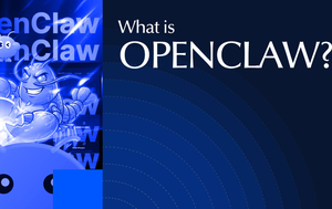 OpenClaw Premium per tecnici, supporta l'esecuzione di script, plugin personalizzati e sviluppo secondario per progetti tecnici - Product Image 5