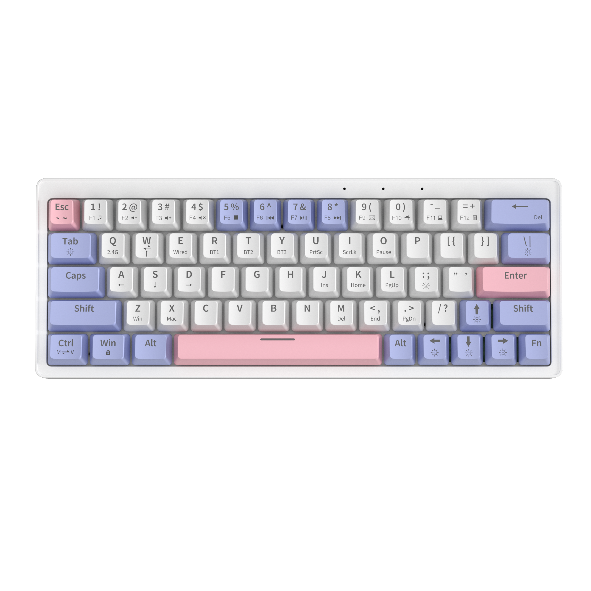 white-purple