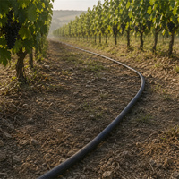 Manguera Plana Flexible de PE para Entrega al por Mayor con Estructura Adhesiva Central, Cinta Plana de Agua para Riego Agrícola