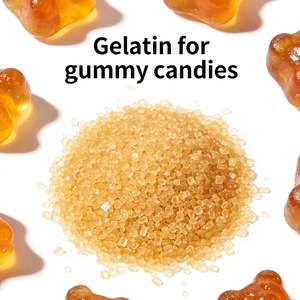 Granulés de <span class=keywords><strong>gélatine</strong></span> comestible HuaXuan, haute pureté, <span class=keywords><strong>origine</strong></span> peau <span class=keywords><strong>bovine</strong></span>, pour l'industrie alimentaire, prix d'usine - Product Image 5