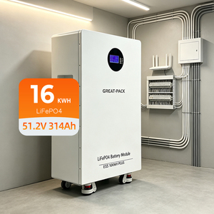ระบบจัดเก็บพลังงานแสงอาทิตย์แบบแบตเตอรี่ 8000 รอบการใช้งาน สำหรับบ้าน 51.2V 16kWh 314Ah พร้อมแท่นวาง - Product Image 1