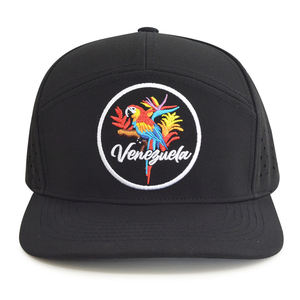 Gorra de Camping de Poliéster Impermeable Estructurada de Alta Calidad al por Mayor, Bordado 3D Unisex - Product Image 5