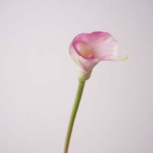 Tulipán de Cala Artificial W-A0204, de una Sola Cara, Tacto Realista de PU, para Diseño Artístico y Decoración de Bodas - Product Image 6
