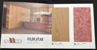 Libro Campionario Personalizzato di Colori per Vari Materiali, Serie Master, Stampa Offset Premium su Cartone