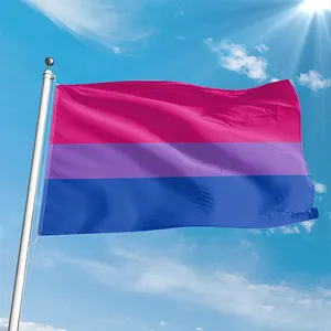 Low Moq Gay Pride LGBT Regenbogen Benutzer definierte Größe Bräune Kostenlose Probe Günstige Bunte Bi Polyester Bisexuelle Flagge zum Verkauf