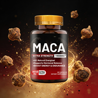 OEM Maca-Wurzel-Kapseln für Männer, Kräuterergänzungsmittel zur Verbesserung der männlichen Leistungsfähigkeit, Steigerung der Stärke, Vitalität und Energie, Natürlich GMP-zertifiziert