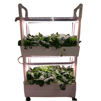 Système hydroponique plantes verticales support jardinière étagère pots de fleurs supports avec Led élèvent la lumière