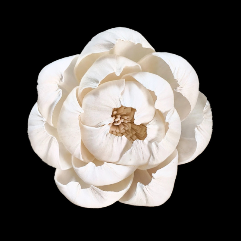 Pivoine 8cm-S033B8N