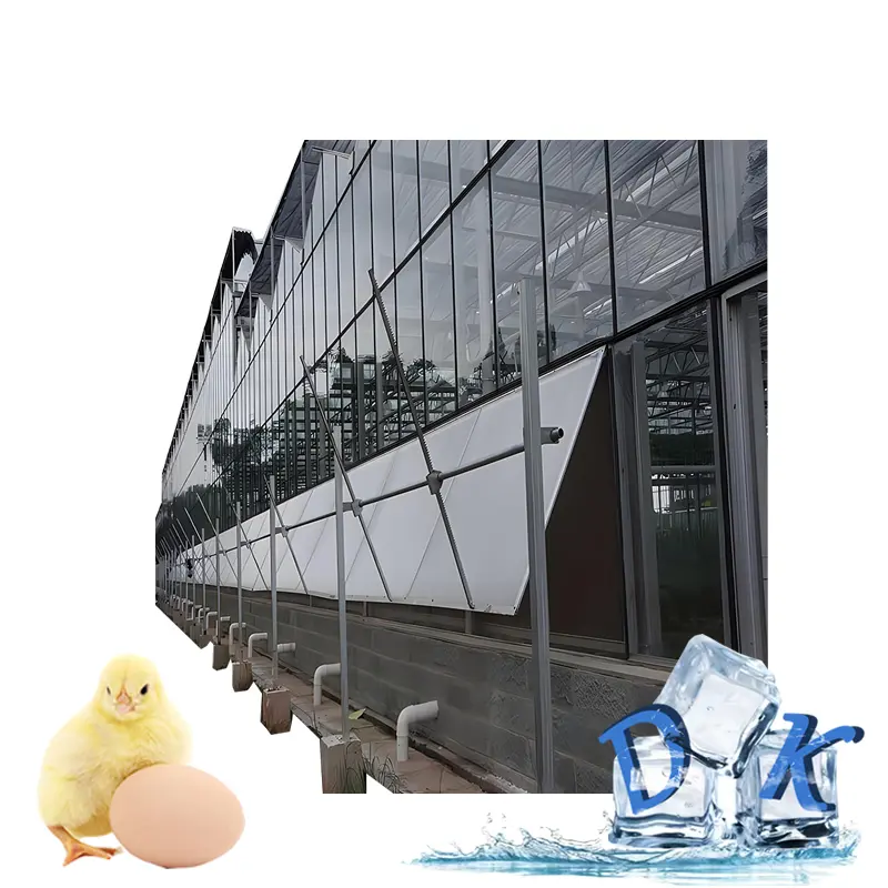 Greenhouse Frame Agricultural Multi-span Steel Frame Hot Dip Galvanizing Scientific Research Sightseeing Glass Greenhouse