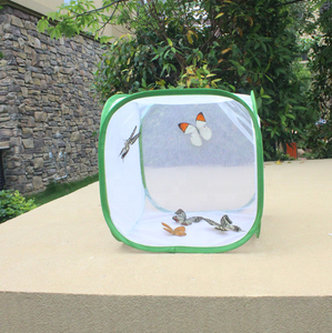 Chất lượng cao 30x30x30cm đa màu sắc côn trùng và bướm môi trường sống lồng Terrarium pop-up môi trường sống lồng trong kho - Product Image 3