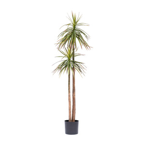 Plante artificielle Agave Dream Castle 100cm-200cm, décoration intérieure, simulation d'arbre vert, ornement pour salon - Product Image 5