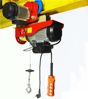 Mini treuil électrique à corde, 220v, 200kg, Type voiture, d'occasion