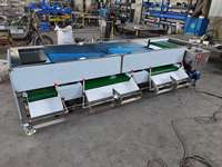 Blauwe bessen sorteermachine, fruit- en tomatensorteermachine, appel-, citrus- en uienselektor, fruit sorteermachine