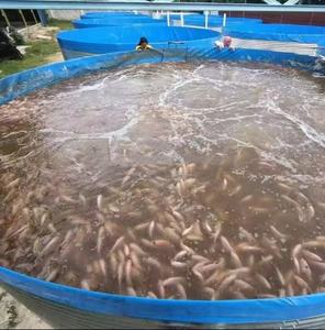 Система для аквариума из оцинкованной стали - Product Image 3