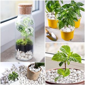 Pietra Decorativa Bianca <span class=keywords><strong>da</strong></span> <span class=keywords><strong>Giardino</strong></span> di Alta Qualità e Lucidata <span class=keywords><strong>da</strong></span> 40 Libbre per Interni con <span class=keywords><strong>Prezzo</strong></span> Scontato - Product Image 5